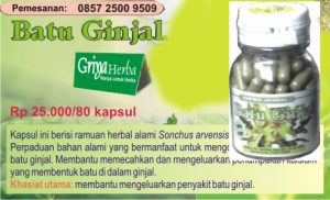 batu-ginjal