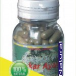 Pengobatan Herbal Ginjal dan Liver
