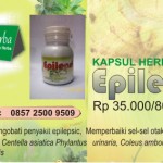 Pengobatan Herbal Penyakit Epilepsi