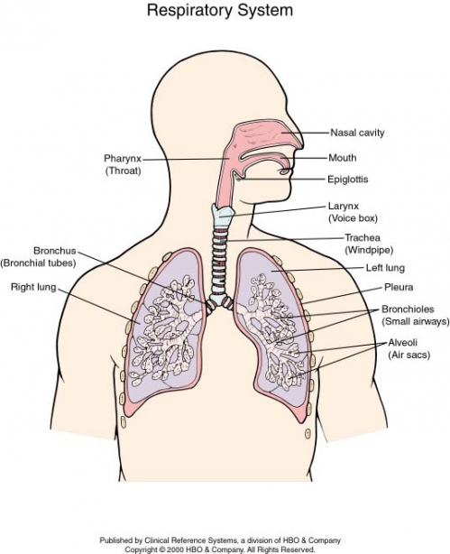 respsystem