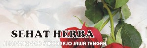 sehat herba