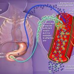 10 Kebiasaan Kecil Pemicu Diabetes