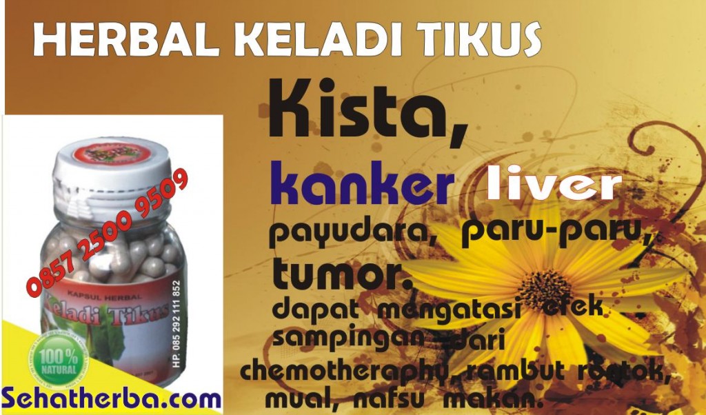 keladi-tikus