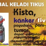 KELADI TIKUS