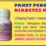 Pengobatan Herbal Diabetes dari Daging Tupai Dan Jamur Lingzhi