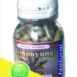 Herbal Tempuyung