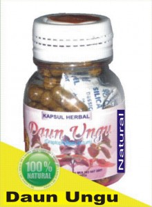 Herbal Daun Ungu