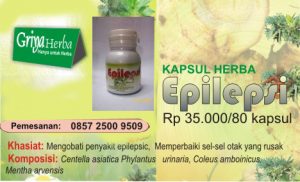 obat-herbal-penyakit-epilepsi herbal epilepsi