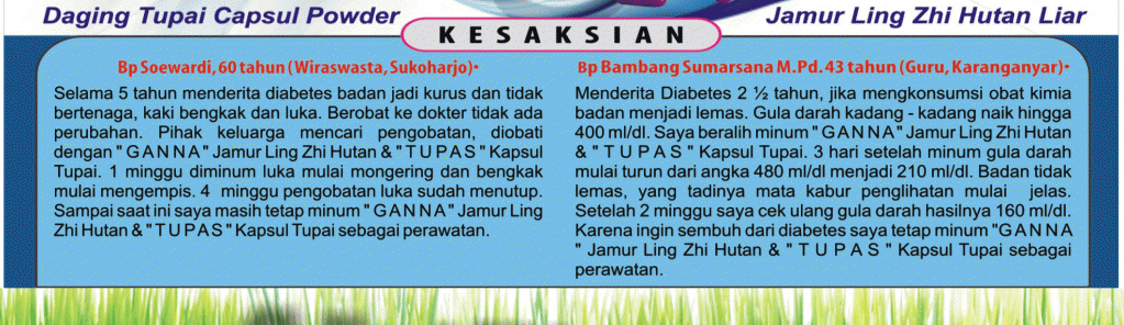 obat-herbal-diabetes1 obat-herbal-diabetes1