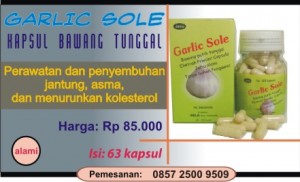 bawang putih tunggal