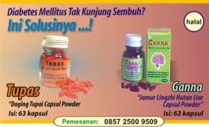 obat-herbal-kencing-manis