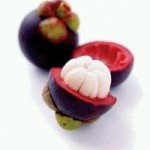 buah manggis