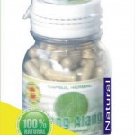 Pengobatan Herbal Penyakit Gagal Ginjal
