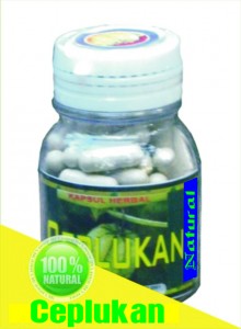 Tanaman Obat Ceplukan