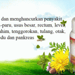 Herbal Pengobatan Kanker dan Tumor
