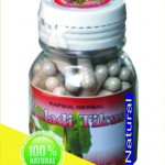 keladi-tikus herbal keladi tikus