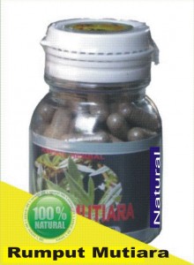 herbal rumput mutiara