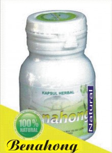 khasiat obat herbal daun binahong