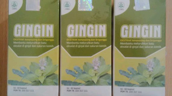 Obat Sehat Ginjal