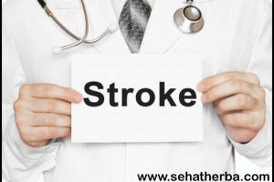 DANSTRO Herbal STROKE meringankan stroke dan gejalanya