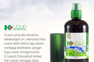 Herbal K-Liquid Chlorophyll Original