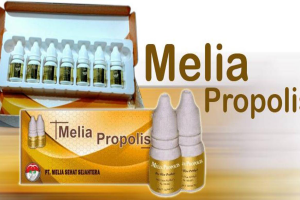 OBAT HERBAL PROPOLIS MELIA