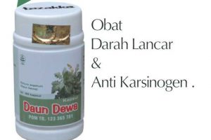 Daun Dewa Menlancarkan Peredaran Darah dan Anti Karsinogen