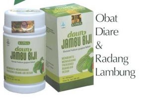 Kaspul Daun Jambu Biji Mengobati Diare dan Radang Lambung