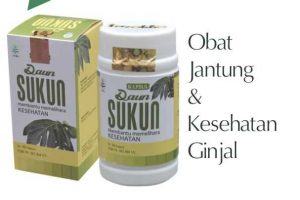 Ekstrak Daun Sukun Menjaga Kesehatan Jantung dan Ginjal
