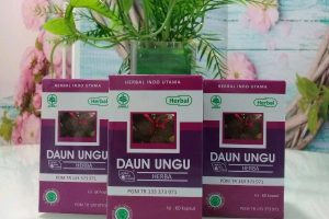 HERBAL DAUN UNGU
