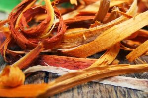 TEH HERBAL SECANG UNTUK KESEHATAN
