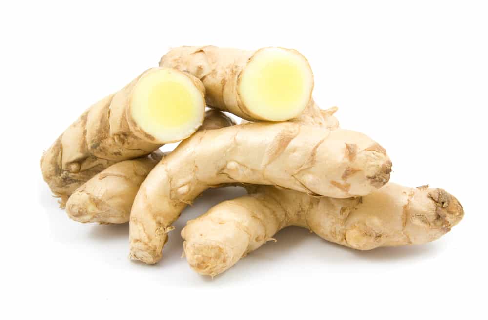 Temu Putih tanaman herbal kesehatan kecantikan
