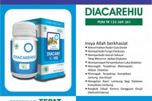 Diacare Hiu Obat Herbal Kencing Manis / Diabetes militus (DM)