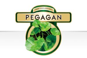 Mengenal Khasiat Tanaman Pegagan