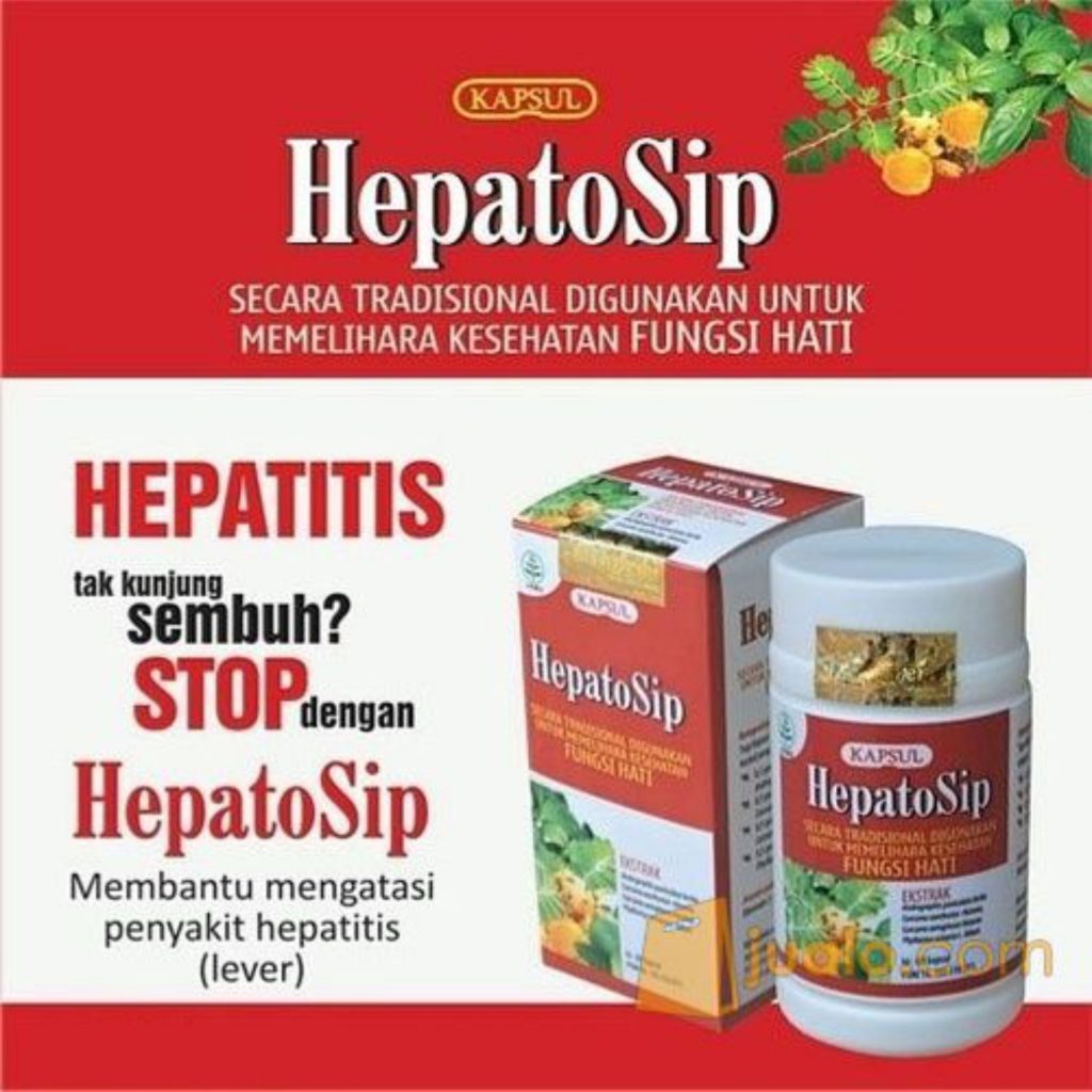 hepatosip obat hepatitis liver