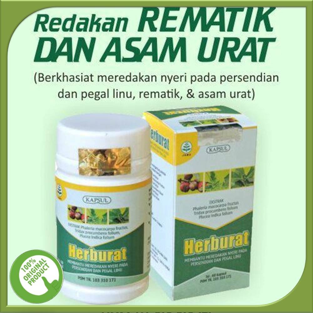 herburat obat asam urat