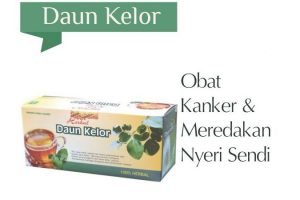 Teh Daun Kelor Meredakan Nyeri Sendi