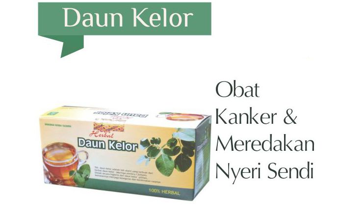 teh daun kelor