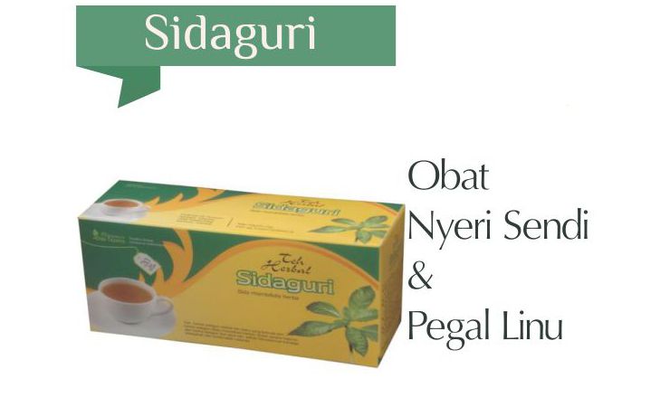 teh sidaguri tazakka