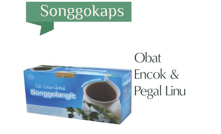 teh songgolangit tazakka