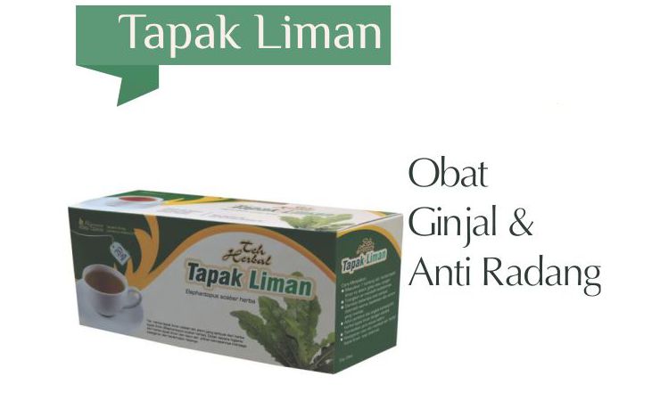 teh tapakliman tazakka