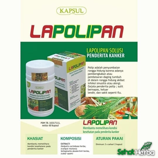 lapolipan obat herbal kanker polip