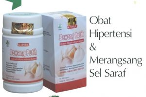 Herbal Bawang Putih  Obat Hipertensi