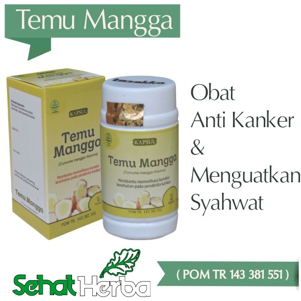 temu mangga tazakka
