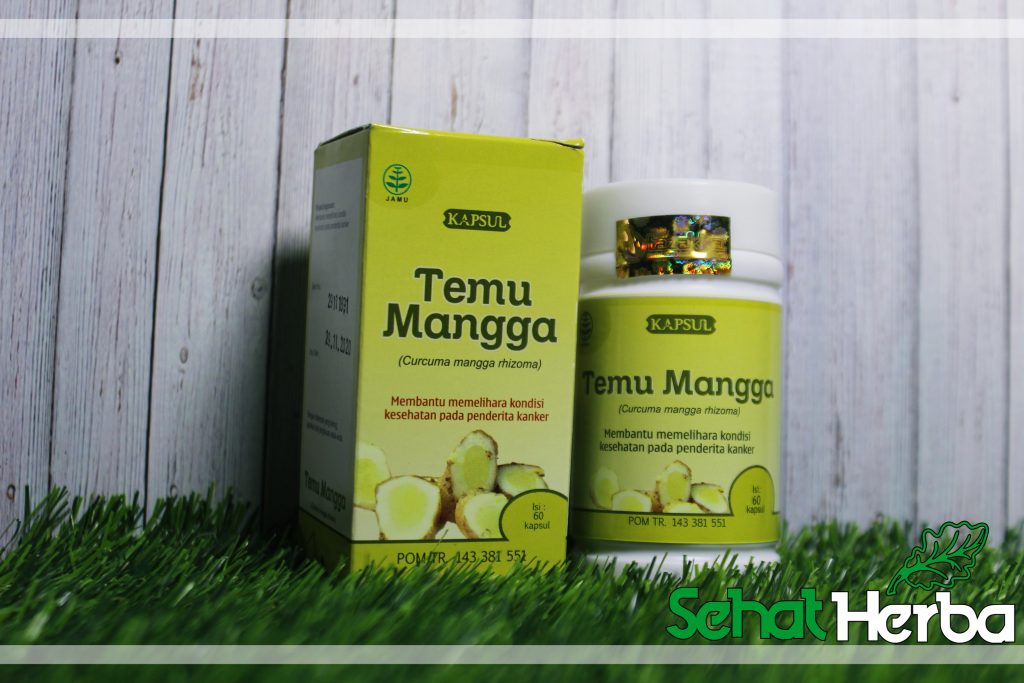 temu mangga tazakka